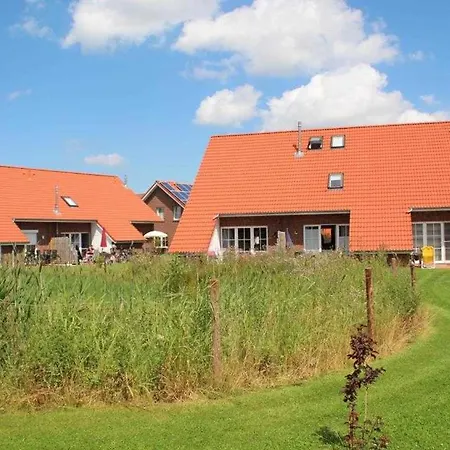 Robbenplatte 3 Burhave