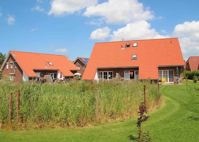 Robbenplatte 3 Burhave